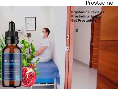 Prostadine Ingredients